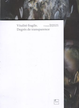 Хрупкая сила. Степени прозрачности