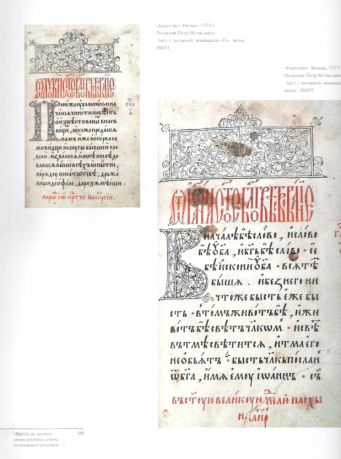 Книжная культура. Ветка