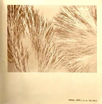 А.В. Лепин 1986 г. Плёс