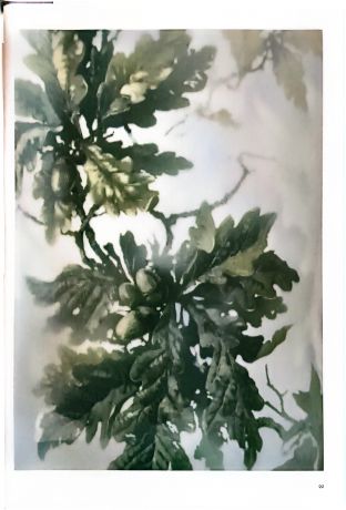 Поднесение к рождеству. Искусство и ботаника: вазы императорского фарфорового завода конца XIX начала XX века